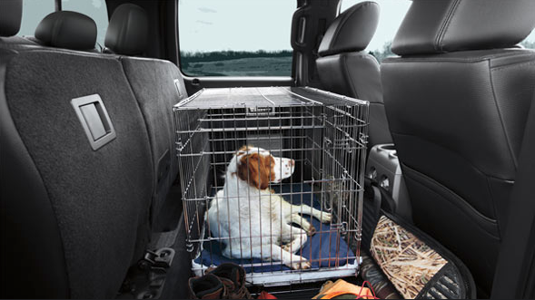 Best Cars for Pets 2014 - Ford F-150